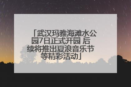 武汉玛雅海滩水公园7日正式开园 后续将推出夏浪音乐节等精彩活动