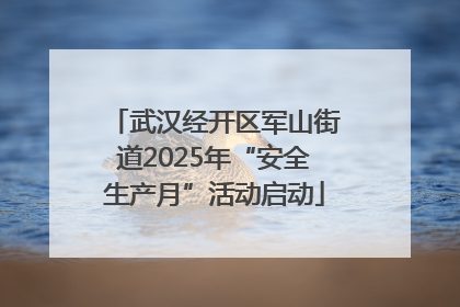 武汉经开区军山街道2025年“安全生产月”活动启动