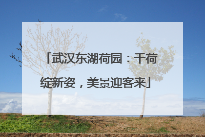 武汉东湖荷园：千荷绽新姿，美景迎客来