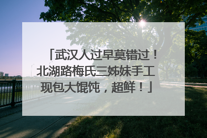 武汉人过早莫错过！北湖路梅氏三姊妹手工现包大馄饨，超鲜！