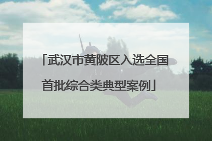 武汉市黄陂区入选全国首批综合类典型案例