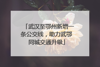 武汉至鄂州新增一条公交线，助力武鄂同城交通升级