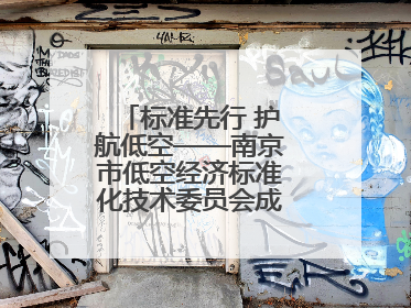 标准先行 护航低空——南京市低空经济标准化技术委员会成立大会召开