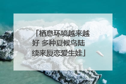 栖息环境越来越好 多种夏候鸟陆续来厦恋爱生娃
