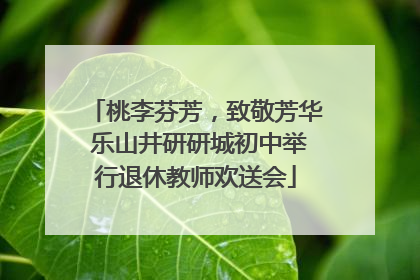 桃李芬芳，致敬芳华 乐山井研研城初中举行退休教师欢送会