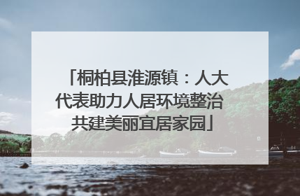 桐柏县淮源镇：人大代表助力人居环境整治 共建美丽宜居家园