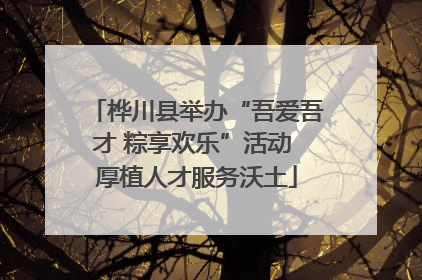 桦川县举办“吾爱吾才 粽享欢乐”活动 厚植人才服务沃土