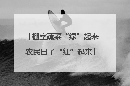 棚室蔬菜“绿”起来 农民日子“红”起来