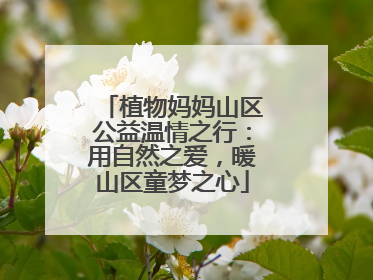 植物妈妈山区公益温情之行：用自然之爱，暖山区童梦之心