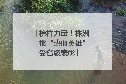 榜样力量！株洲一批“热血英雄”受省级表彰