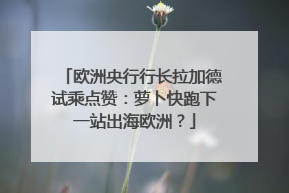 欧洲央行行长拉加德试乘点赞：萝卜快跑下一站出海欧洲？