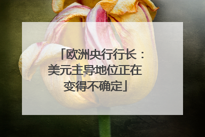欧洲央行行长：美元主导地位正在变得不确定