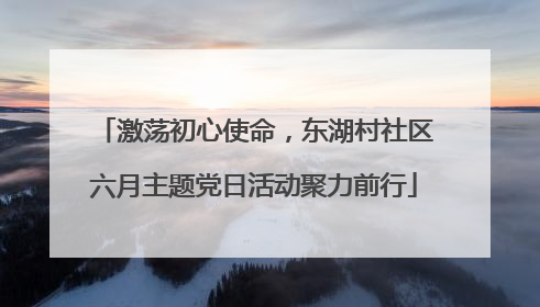 激荡初心使命，东湖村社区六月主题党日活动聚力前行