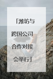 潍坊与跨国公司合作对接会举行