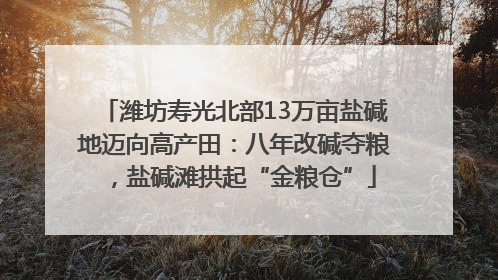 潍坊寿光北部13万亩盐碱地迈向高产田：八年改碱夺粮，盐碱滩拱起“金粮仓”