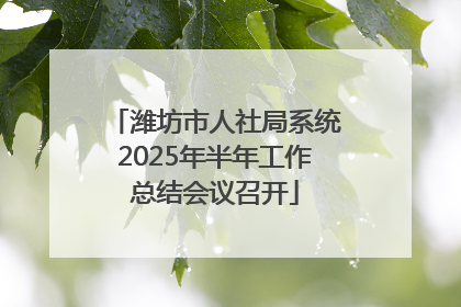 潍坊市人社局系统2025年半年工作总结会议召开