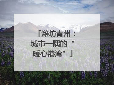 潍坊青州：城市一隅的“暖心港湾”