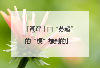 潮评丨由“苏超”的“梗”想到的
