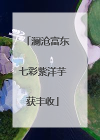 澜沧富东七彩紫洋芋获丰收