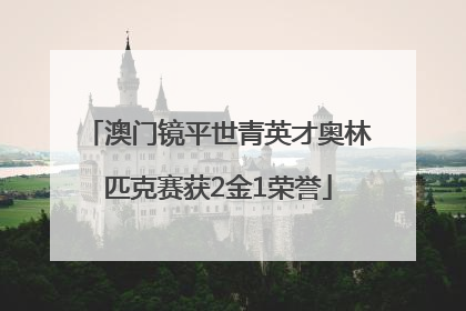 澳门镜平世青英才奥林匹克赛获2金1荣誉