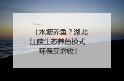 水塘养鱼？湖北江陵生态养鱼模式环保又增收