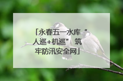 永春五一水库“人巡+机巡” 筑牢防汛安全网