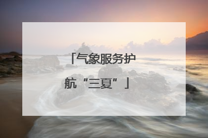 气象服务护航“三夏”