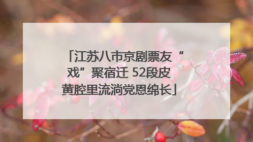 江苏八市京剧票友“戏”聚宿迁 52段皮黄腔里流淌党恩绵长