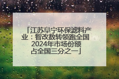 江苏阜宁环保滤料产业：智改数转领跑全国 2024年市场份额占全国三分之一