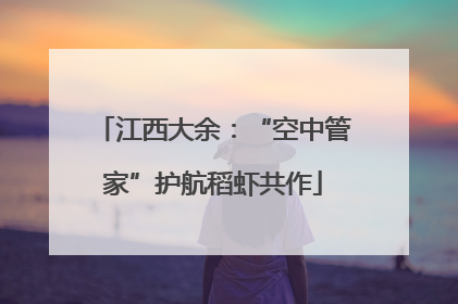 江西大余：“空中管家”护航稻虾共作