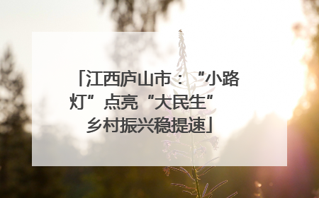 江西庐山市：“小路灯”点亮“大民生” 乡村振兴稳提速
