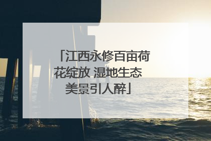 江西永修百亩荷花绽放 湿地生态美景引人醉