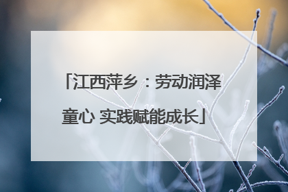 江西萍乡：劳动润泽童心 实践赋能成长