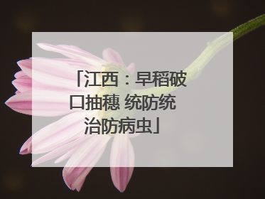 江西：早稻破口抽穗 统防统治防病虫