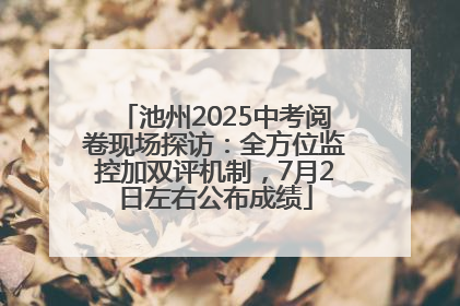 池州2025中考阅卷现场探访：全方位监控加双评机制，7月2日左右公布成绩