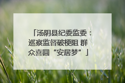 汤阴县纪委监委：巡察监督破梗阻 群众喜圆“安居梦”