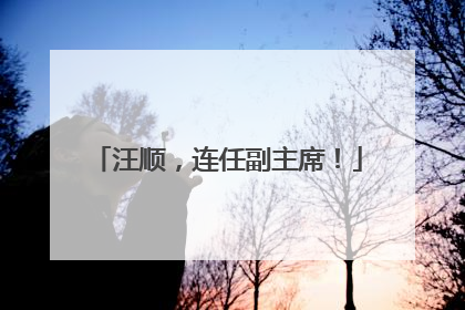 汪顺，连任副主席！