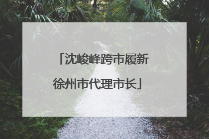 沈峻峰跨市履新徐州市代理市长