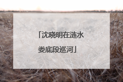 沈晓明在涟水娄底段巡河