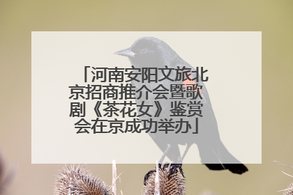 河南安阳文旅北京招商推介会暨歌剧《茶花女》鉴赏会在京成功举办