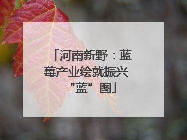 河南新野：蓝莓产业绘就振兴“蓝”图