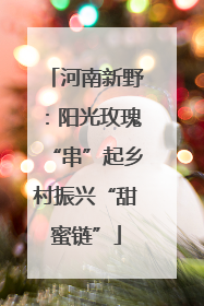 河南新野：阳光玫瑰“串”起乡村振兴“甜蜜链”
