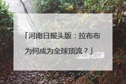 河南日报头版：拉布布为何成为全球顶流？