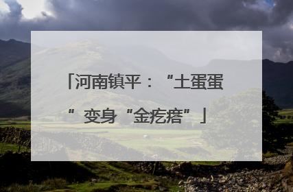 河南镇平：“土蛋蛋”变身“金疙瘩”