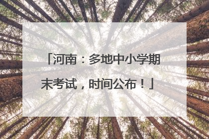 河南：多地中小学期末考试，时间公布！