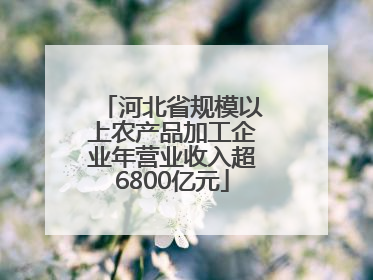 河北省规模以上农产品加工企业年营业收入超6800亿元