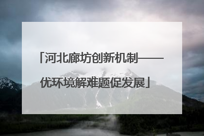 河北廊坊创新机制——优环境解难题促发展