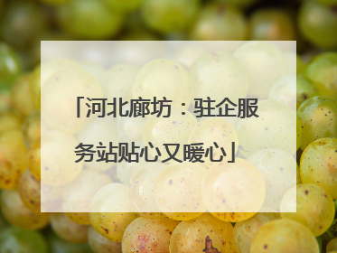 河北廊坊：驻企服务站贴心又暖心