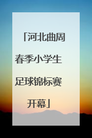 河北曲周春季小学生足球锦标赛开幕