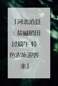 河北沧县：盐碱稻田过端午 特色农旅迎客来